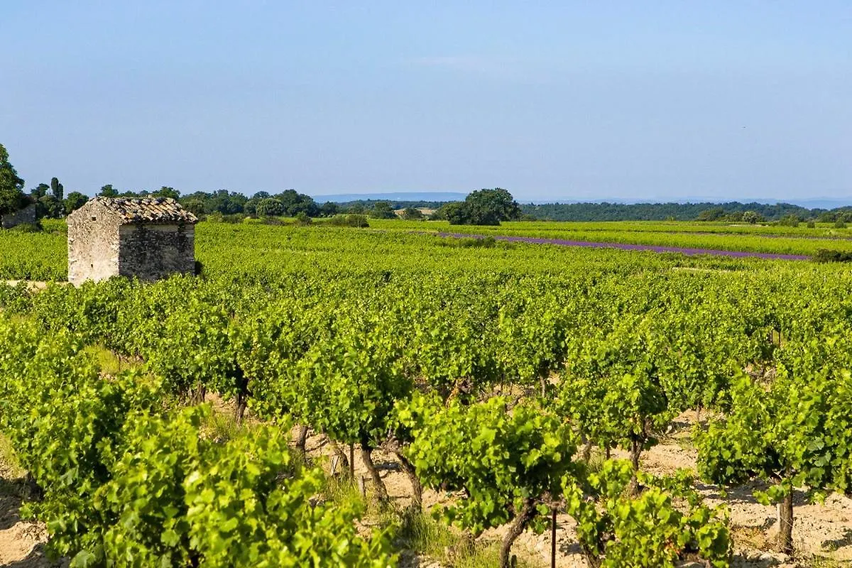Вилла Les Lavandins Taulignan